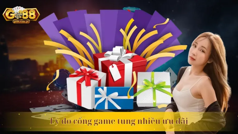 Tổng quan Chương Trình VIP Vswin